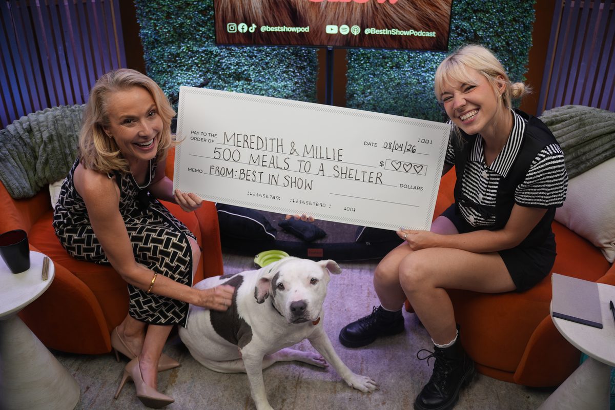 Host and guest holding a giant check reading 500 meals to a shelter, from Best in Show, with a dog in front