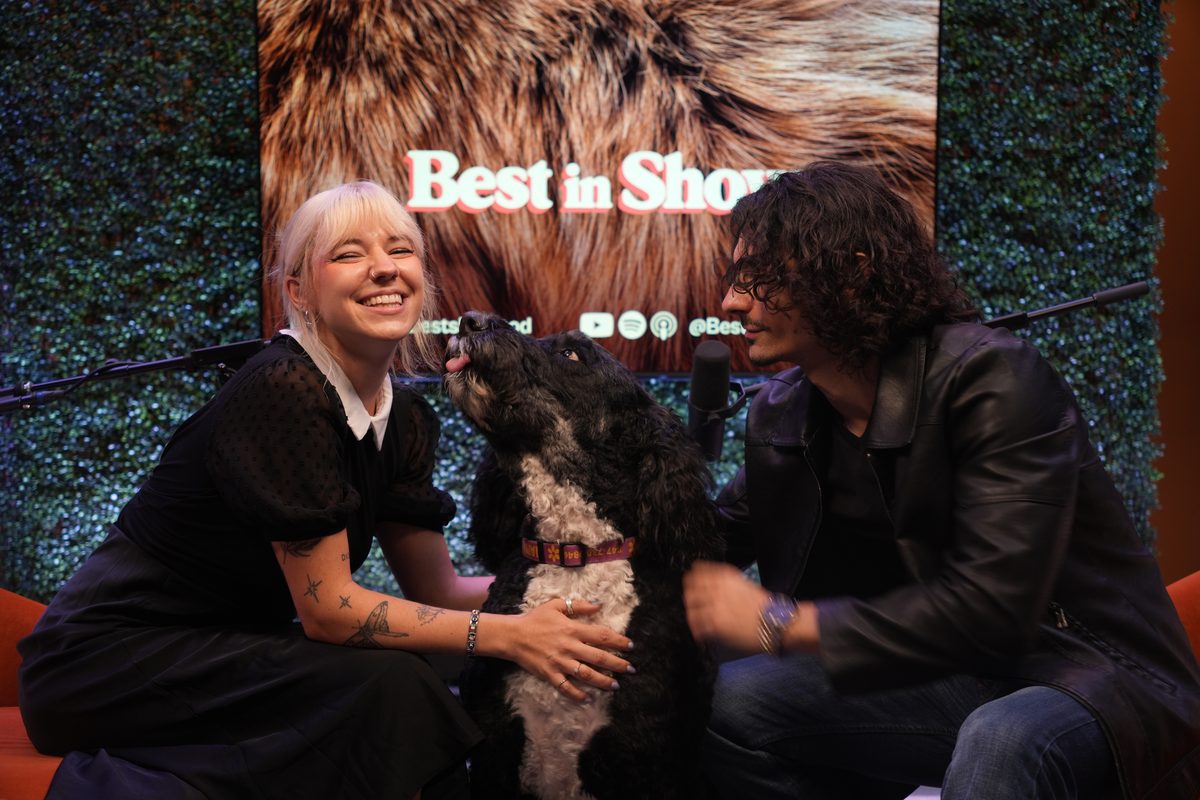 Mimi and a guest laughing with a black dog between them on set
