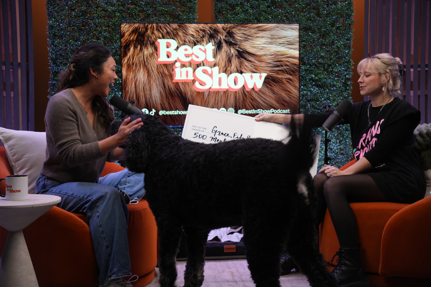 A guest reacting with delight as a big black dog walks between the chairs during the 500 meals check presentation